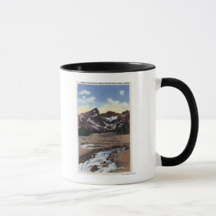 Taza Bosque del Estado de Deschutes, O