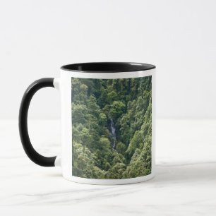 Taza Bosque del Himalaya en el valle de Mangdue, Bután