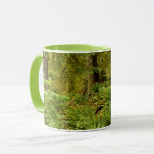 Taza Bosque exuberante y helechos   Parque Estatal Ecol