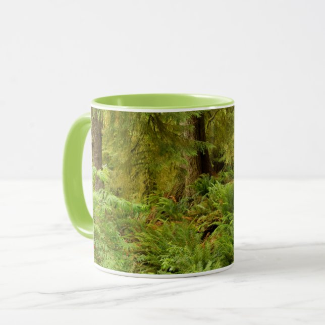 Taza Bosque exuberante y helechos | Parque Estatal Ecol (Anverso izquierdo)