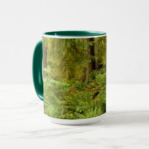 Taza Bosque exuberante y helechos   Parque Estatal Ecol