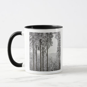 Taza Bosque imperecedero en invierno