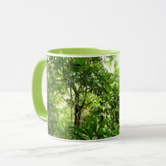 Taza Bosque lluvioso dominicano I Naturaleza tropical v