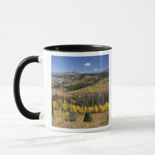 Taza Bosque nacional Bridger-Teton