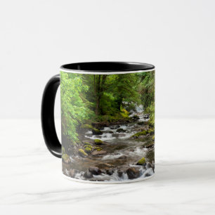 Taza Bosque Nacional Siuslaw   Sweet Creek