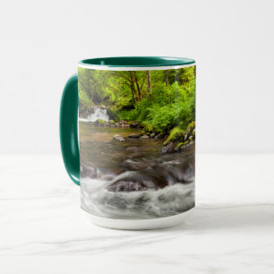 Taza Bosque Nacional Siuslaw, Sweet Creek, Oregon