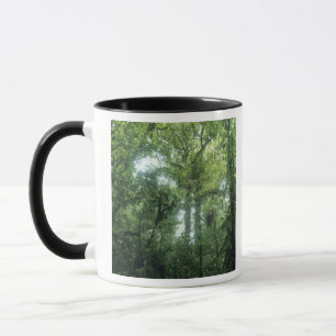 Taza Bosque Nuboso de Monteverde, Costa Rica.