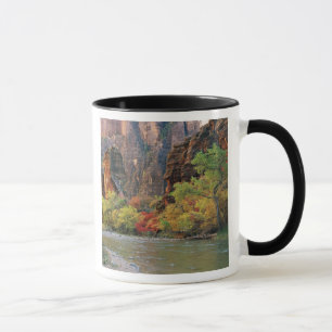 Taza Bosque otoñal a lo largo del río Virgin cerca de l