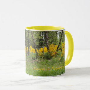 Taza Bosque primaveral en Luxemburgo viaje