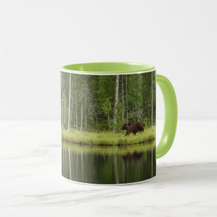 Taza Bosques   Oso en la Selva Taiga Norte de Finlandia