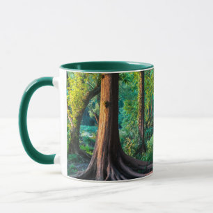Taza Bosques Vegetación y bosques