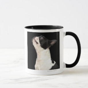 Taza Boston blanco y negro Terrier que mira para arriba
