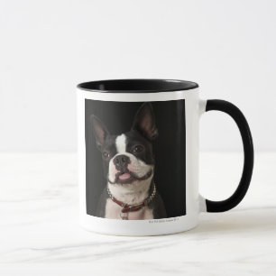Taza Boston sonriente Terrier