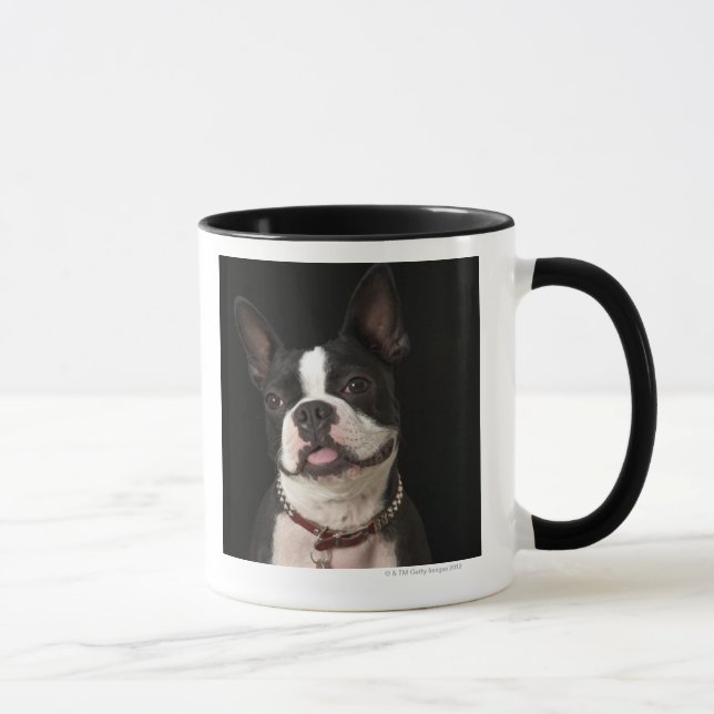 Taza Boston sonriente Terrier (Derecha)