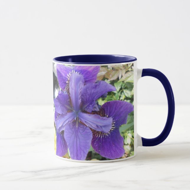 Taza Brandeis (Derecha)