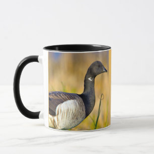 Taza Brant Goose