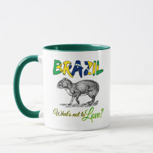 Taza Brasil - Qué no quiere la cita de Brasil