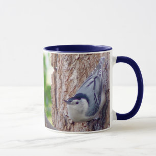 Taza breasted blanco del pájaro del trepatroncos