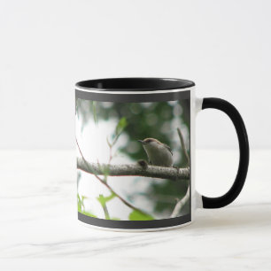 taza Brown-dirigida del trepatroncos