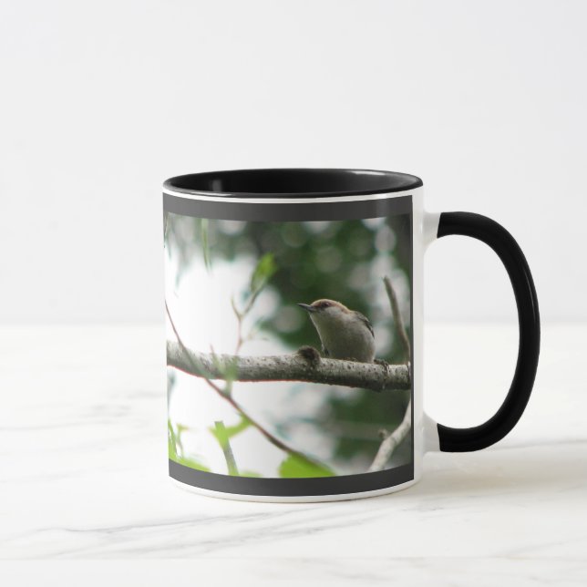 taza Brown-dirigida del trepatroncos (Derecha)