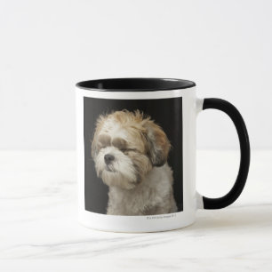 Taza Brown y Shih blanco Tzu con los ojos se cerraron