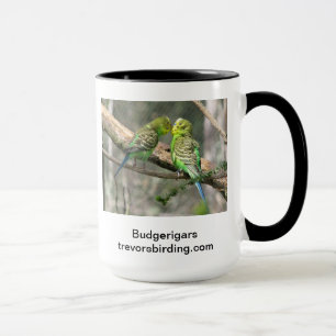 Taza Budgerigars