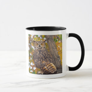 Taza Búho Americano
