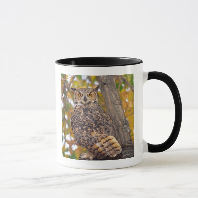 Taza Búho Americano (Derecha)