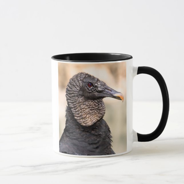 Taza Buitre negro (Derecha)