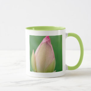 Taza Bulbo de Nenúfar sin Abrir, Botánico de Durban