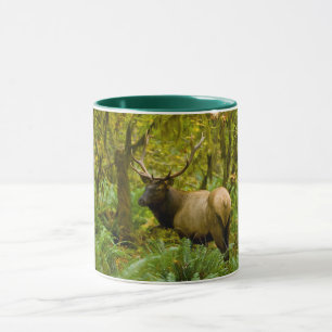 Taza Bull Roosevelt Elk