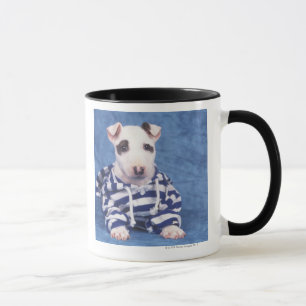 Taza Bull terrier es una raza del perro en