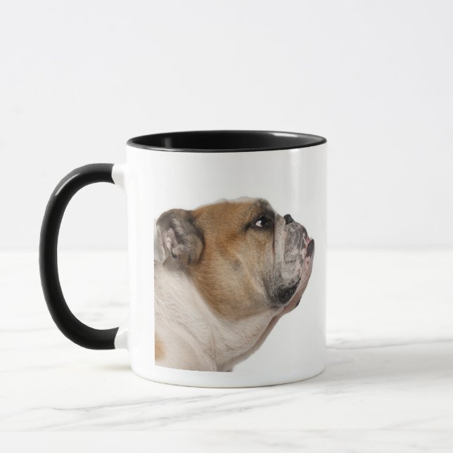 Taza Bulldog inglés (6 años) (Izquierda)