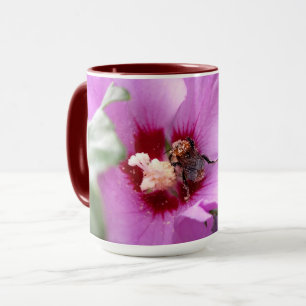 Taza Bumblebee en la flor de Hibiscus