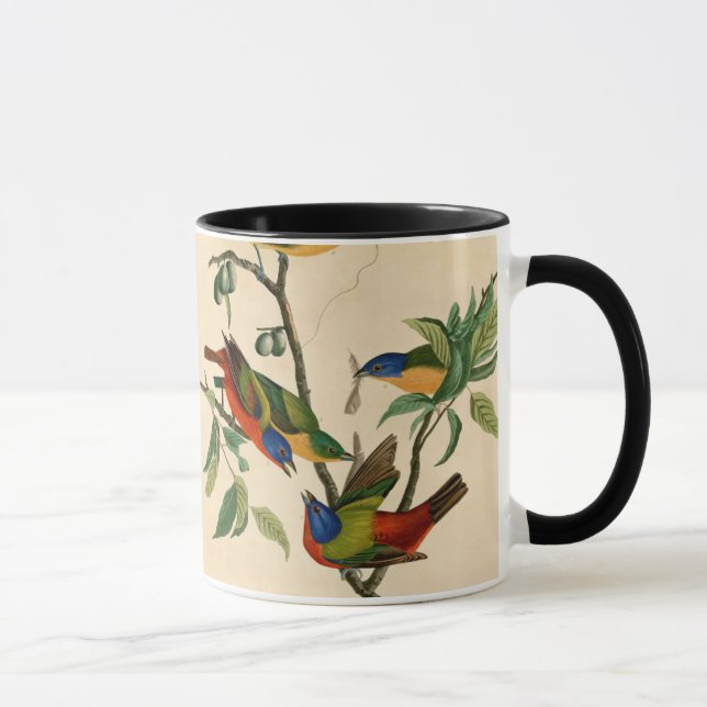 Taza Bunting pintado por Audubon Bird Painting  (Derecha)