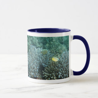 Taza Butterflyfish de los Redfin (lunulatus de