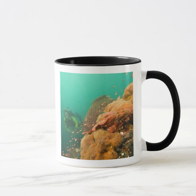Taza buzo & pez escorpión Scorpanopsis (Derecha)