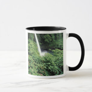 Taza CA, Costa Rica. Catarata La Paz y balsaminas