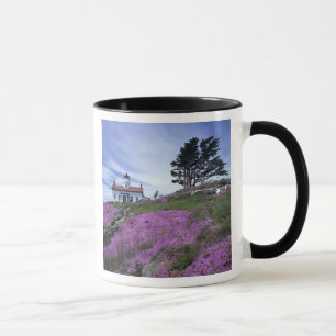 Taza CA, Crescent City, faro de Battery Point con