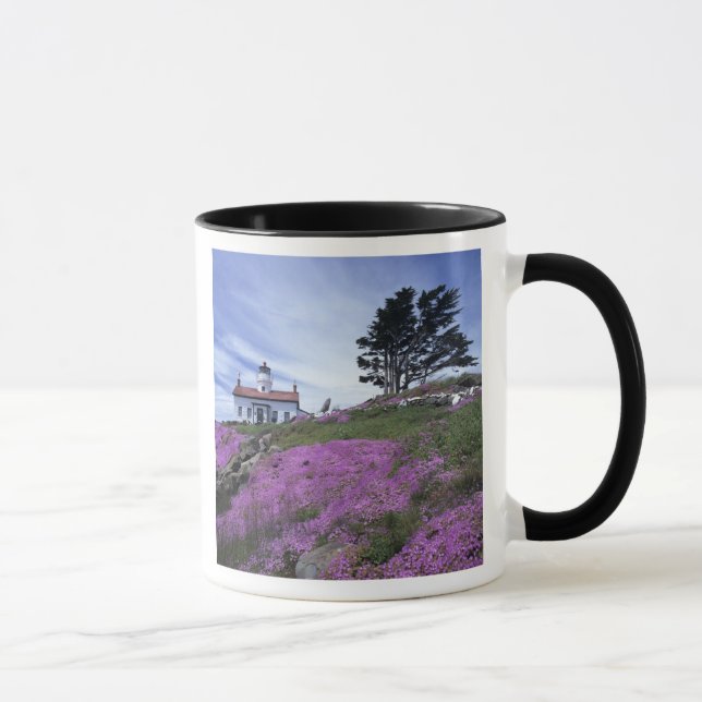 Taza CA, Crescent City, faro de Battery Point con (Derecha)