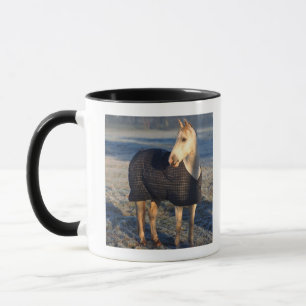 Taza caballo