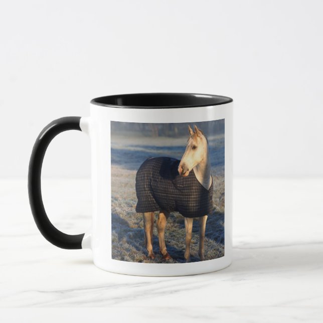 Taza caballo (Izquierda)