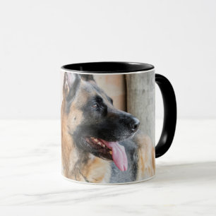 Taza Caballo alemán descansando por cuenca acuática