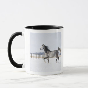 Taza caballo blanco en invierno
