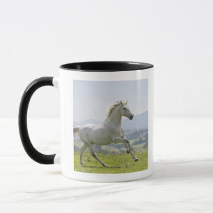 Taza caballo blanco que corre en prado