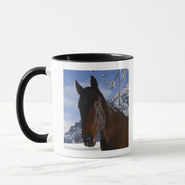 Taza Caballo de Brown en invierno (Izquierda)