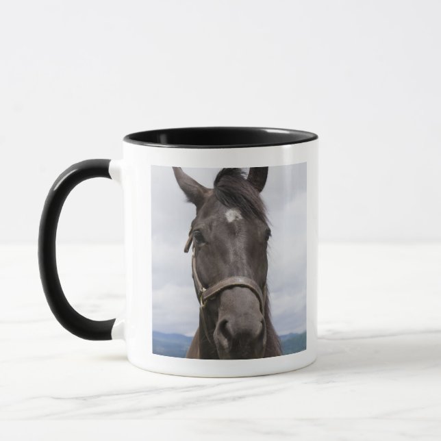 Taza Caballo de Brown oscuro (Izquierda)