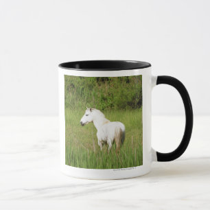 Taza Caballo de Camargue en el Alpes Cote d'Azur del