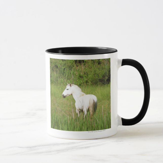 Taza Caballo de Camargue en el Alpes Cote d'Azur del (Derecha)