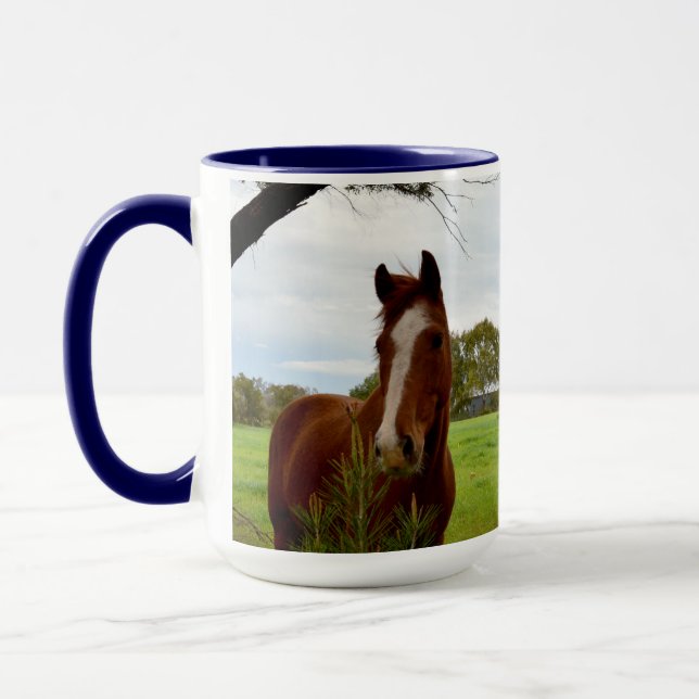 Taza Caballo De Castaño Aniquilando Un Árbol De Banksia (Izquierda)